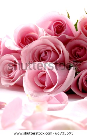 Bouquet rose, petals on white background Royalty-Free Stock Photo #66935593