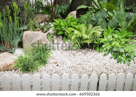 Beautiful green garden at home, stock photo