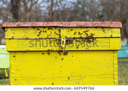 Picture of a yellow beehive with many bees outside in the garden, apiculture