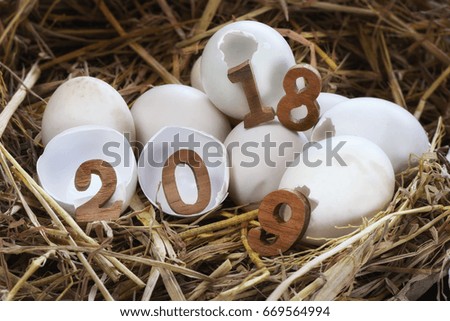 Wooden number 2018 and 2019 on eggshell on a nest of hay, holiday and event 
concept, new year idea