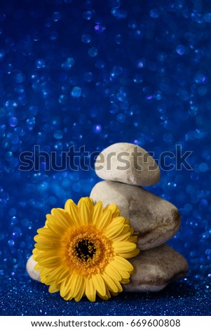 Single yellow flower closeup gerbera daisy and pile stones with awesome bokeh and isolated subject 