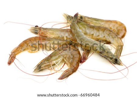 Shrimp on white background.