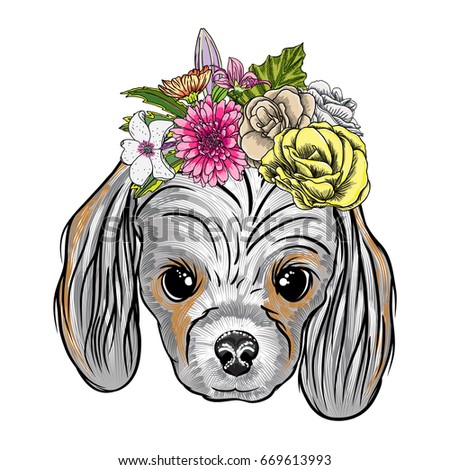 Portrait of Collie puppy. Hand drawn dog illustration. T- shirt and tattoo concept design. 