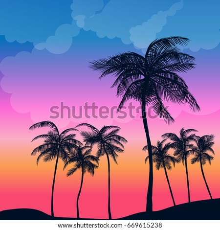 summer palm sunset
