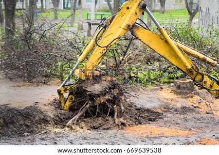 uprooted tree from the ground, uprooting the stumps, tree removal Royalty-Free Stock Photo #669639538