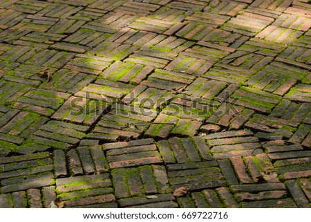 Old brick  floor  covered green moss.
