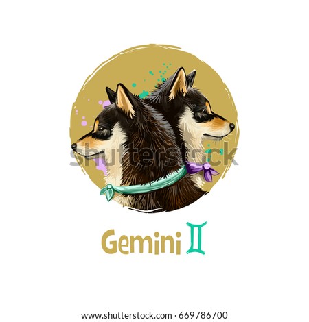 Digital art illustration of astrological sign Gemini. 2018 year of dog. Third of twelve zodiac signs. Horoscope air element. Logo sign with twins. Graphic design clip art for web, print. Add any text