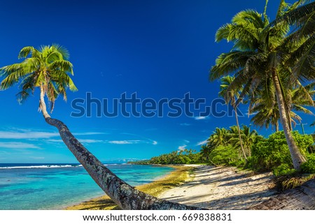 Tropical beach on south side of Samoa Island with many palm trees Royalty-Free Stock Photo #669838831