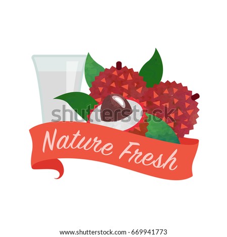 Colorful watercolor texture vector nature organic fresh fruit juice banner lychee