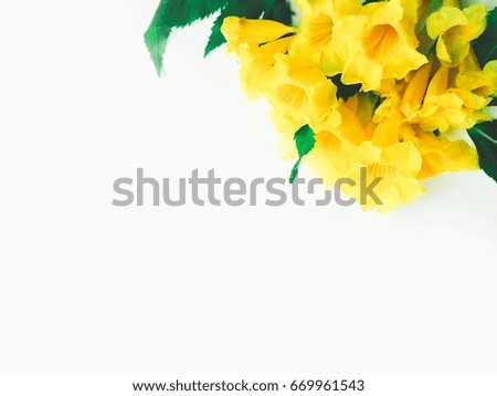 Yellow flower wallpaper, beautiful decoration