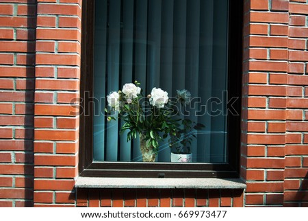 Flowers on the window