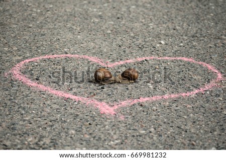 Snails in heart sign on asphalt