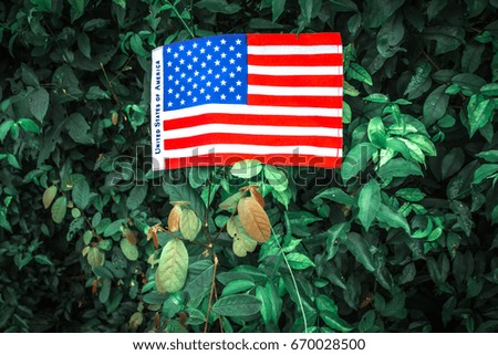 Close up Beautifully star and striped United States of America flag  on the green grass  background with space for text