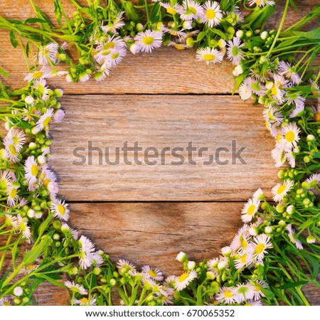 Round frame of chamomile pharmacy on wooden retro background with space for text, top view. mock up for text, phrases, congratulations, lettering