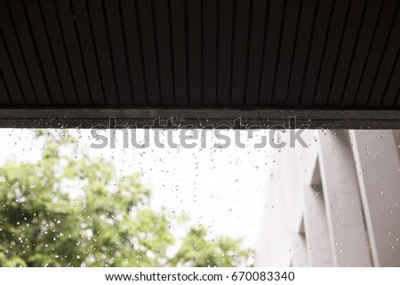 rain drop on green background