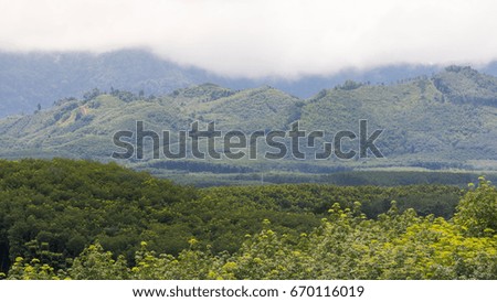 A view of nature from a viewing platform in the south of Thailand