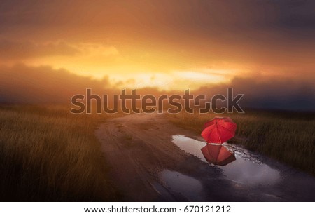 Red umbrella on country road.fine art 