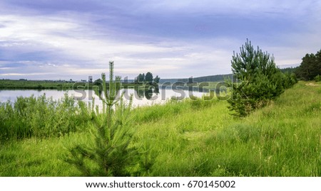 evening summer landscape on the banks of the Ural river with grass, Russia