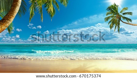 Shore of the ocean Royalty-Free Stock Photo #670175374