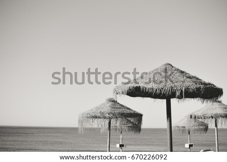 Black and white image of sunny beach umbrella idyllic mood beach relaxation seascape clear sky coastline.