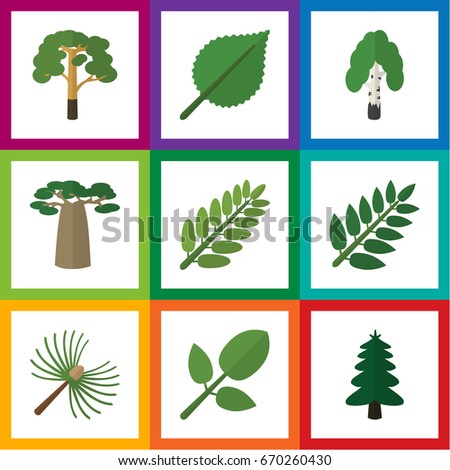 Flat Icon Nature Set Of Timber, Wood, Leaves And Other Vector Objects. Also Includes Acacia, Linden, Park Elements.