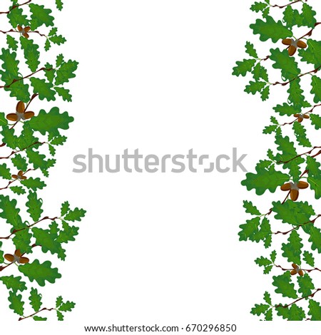 Green branches of oak with acorns on both sides. Volumetric drawing without a grid and a gradient. Isolated on white background. Vector illustration