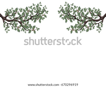 Two green branches of oak with acorns on both sides. Volumetric drawing without a grid and a gradient. Isolated on white background. Vector illustration