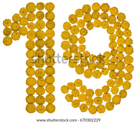 Arabic numeral 19, nineteen, from yellow flowers of tansy, isolated on white background