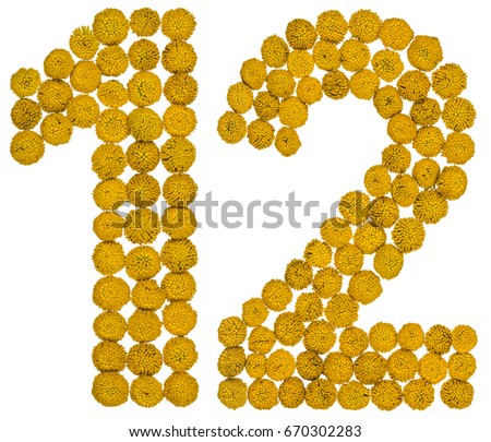 Arabic numeral 12, twelve, from yellow flowers of tansy, isolated on white background