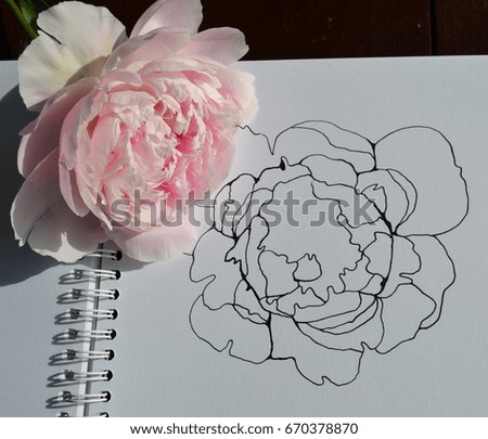 Peony pattern on the paper from nature.