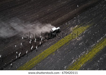 The white tractor plows the field against the backdrop of the black earth, and behind it birds fly and collect food. Aeril view. Agricultural machinery works in the field of spring planting. Plowing