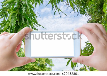 Female hand holding mobile with blank screen white tone. Mobile photography thought leaf tree concept. Isolated on sky cloud background.