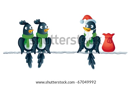 Three winter birds