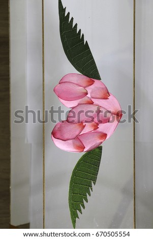the pink heart and green wings made by petal flowers and green leaves on grey background 
