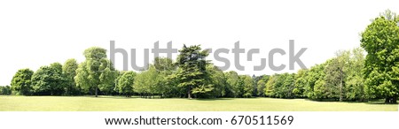 View of a High definition Treeline isolated on a white background Royalty-Free Stock Photo #670511569