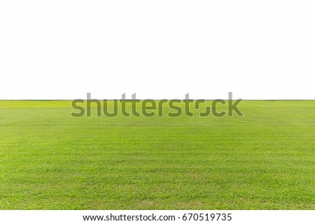 green lawn isolated on white with clipping path