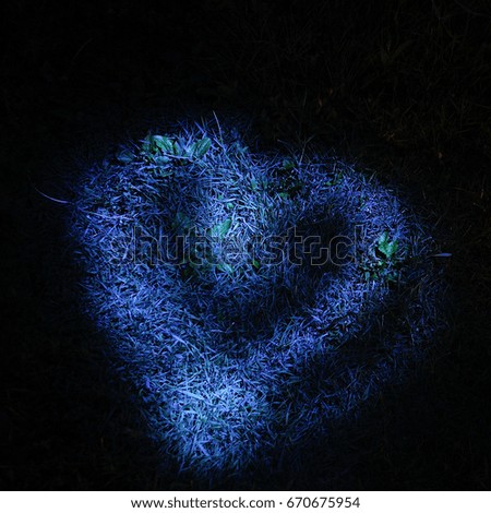 A heart painted with light on the grass with flowers in full darkness