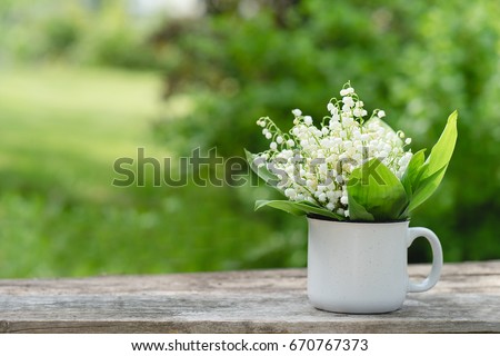 Summer  garden with lily of the valley flowers on wooden background Royalty-Free Stock Photo #670767373