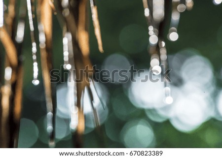 abstract blurred photo of bokeh light burst and textures. multicolored light
