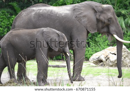 Mom and Baby elephant side by side, filled with hay 