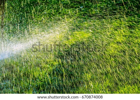 Splashing water against green grass background
