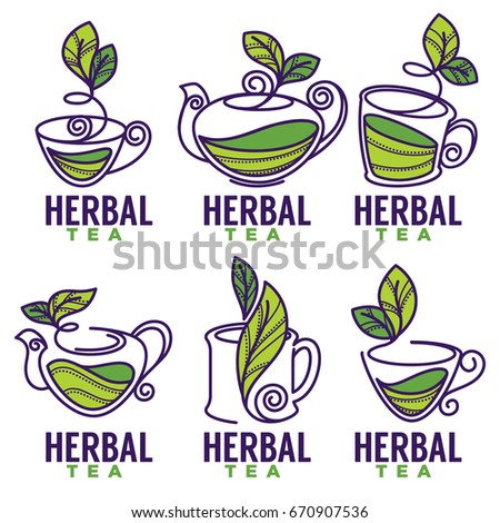 Green,herbal, organic tea, vector logo template design in doodle style cups, mugs and teapots