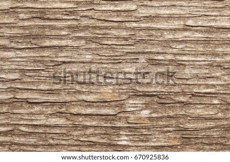Old board with a bough texture.