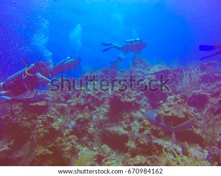 Scuba Diving in Belize Turneffe Atoll Royalty-Free Stock Photo #670984162