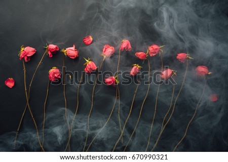 goth style dry roses, black background with smoke