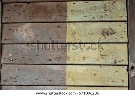 Vintage wood background texture with knots and nail holes in the light green blue shade of wood wall with scratches and cracks