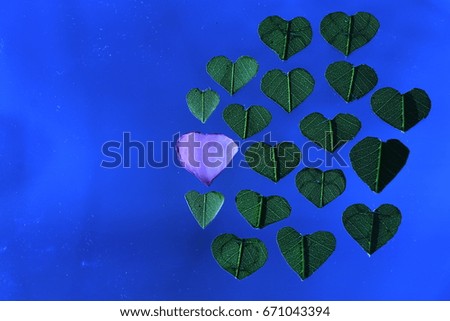 transparency pink heart petal flower and many green heart leaves on blue background