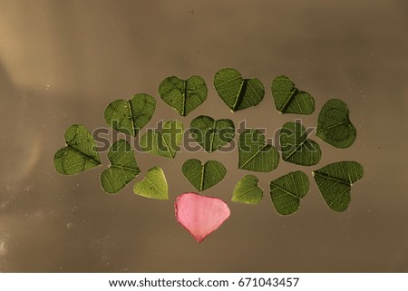 transparency pink heart petal flower and many green heart leaves on brown background