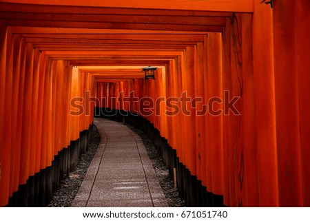 Red Tori Gates at Fushimi Inari near Kyoto 