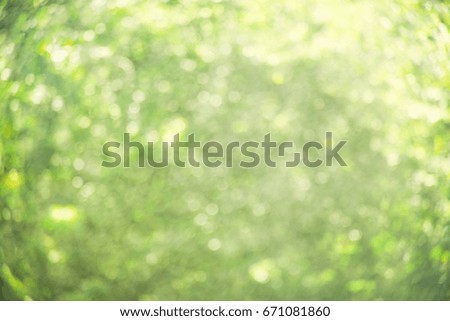 Blurred,summer sunny bubbles  background 